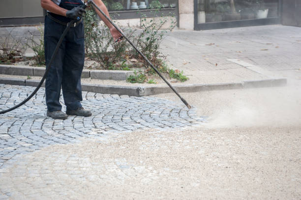 Animal Enclosure Cleaning in Coburg, OR